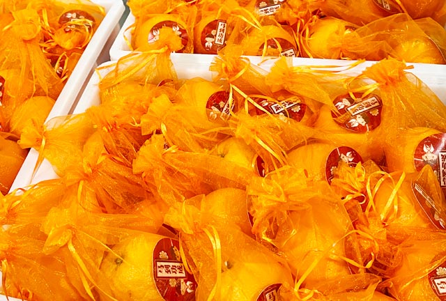 1xBET��Signup(�й���)-�ٷ���վ