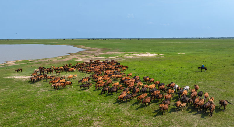 1xBET��Signup(�й���)-�ٷ���վ