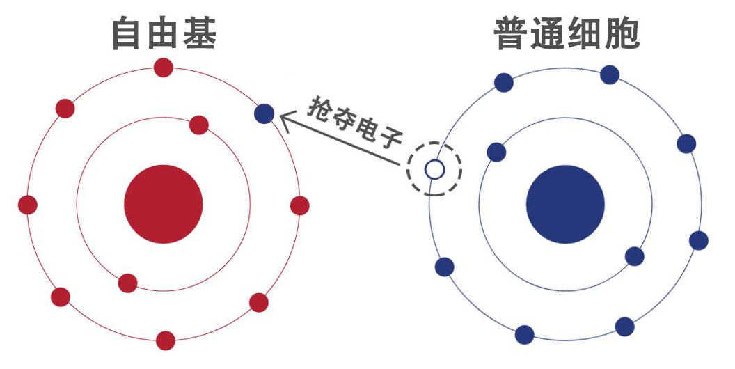 腾博会官网·专业效劳,诚信为本