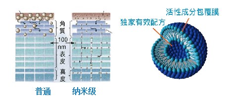 腾博会官网·专业效劳,诚信为本